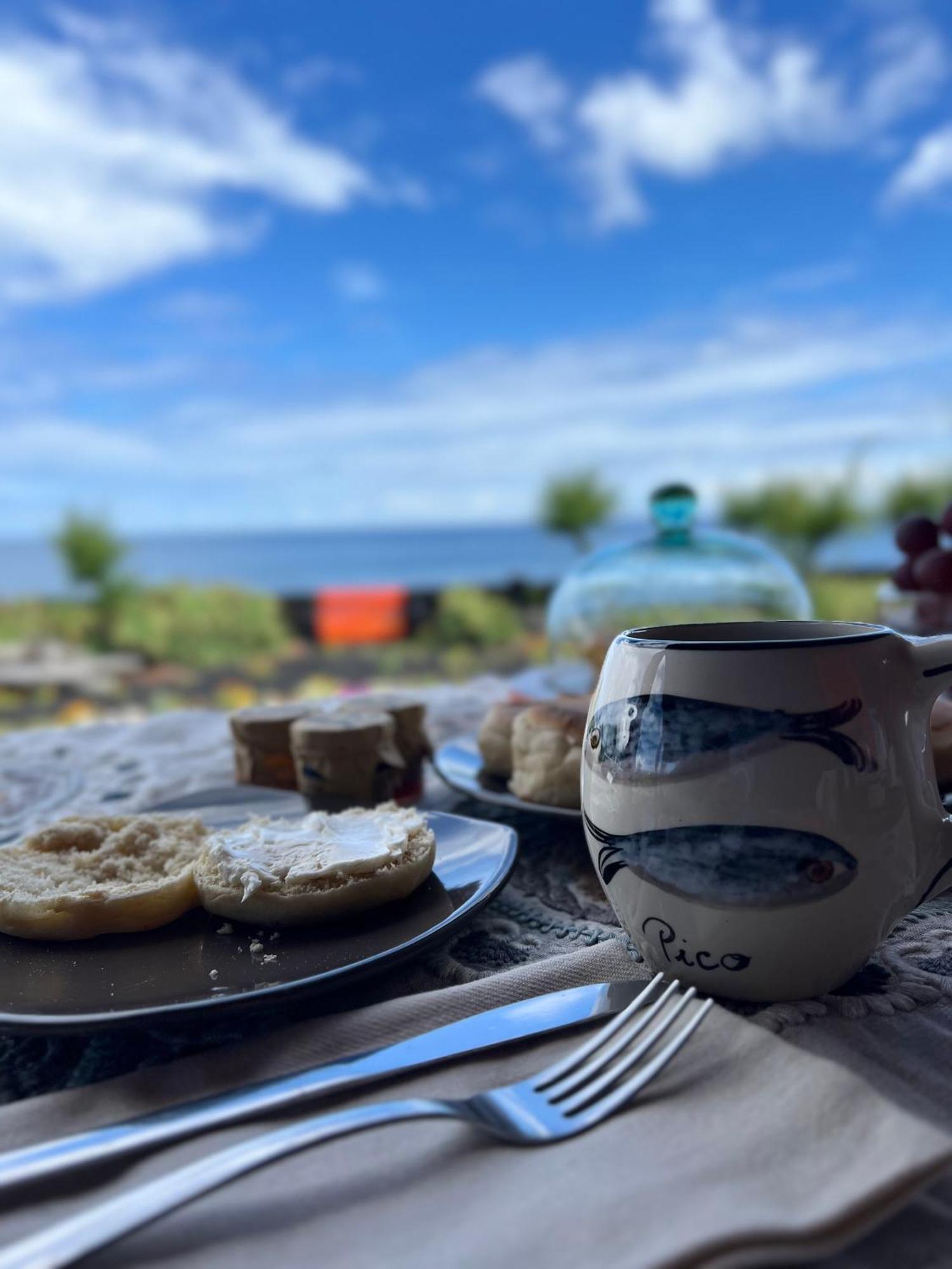 Willa Casa Baleia Laranja Ocean-Front Madalena  Zewnętrze zdjęcie